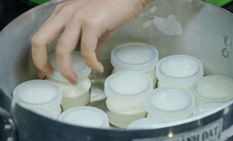 cách làm yaourt: ủ bằng nồi cơm điện